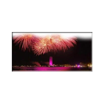 Notte rosa