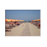 Rimini